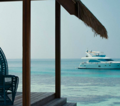 Картинка 24 Фото 24