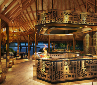 Фото The Nautilus Maldives 29