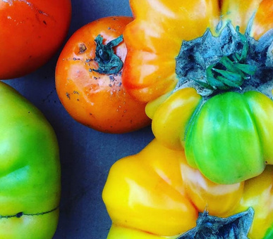 Фото Vakkaru Maldives 30