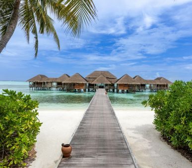 Фото Gili Lankanfushi Maldives 1