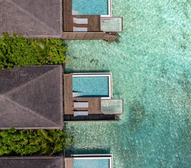 Фото dusitD2 Feydhoo Maldives 9