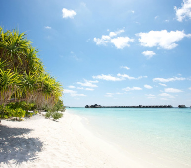 Фото LUX* Maldives 33