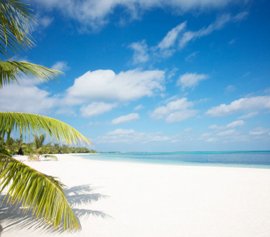 Фото LUX* Maldives 32