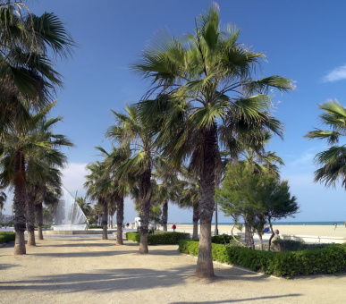 Картинка The Westin Valencia (Испания, Валенсия) 35 Фото The Westin Valencia (Испания, Валенсия) 35