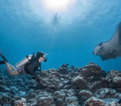 Фото InterContinental Maldives Maamunagau Resort 45