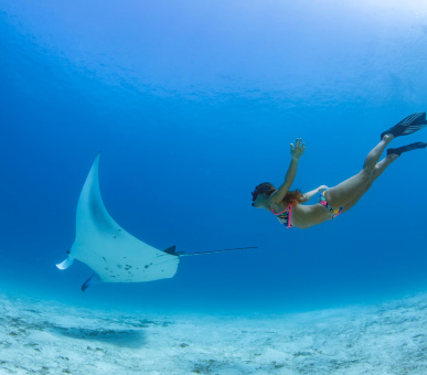 Фото Emerald Maldives Resort 19