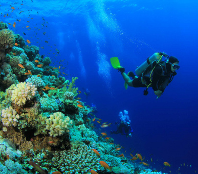 Фото Emerald Maldives Resort 35