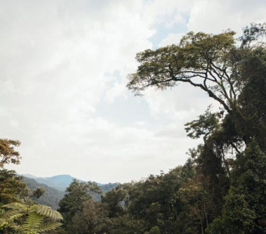 Картинка One 31 Фото One 31