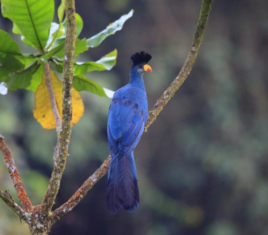 Картинка One 97 Фото One 97