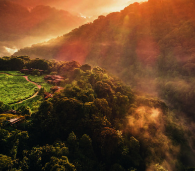 Картинка One 39 Фото One 39