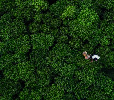 Картинка One 38 Фото One 38