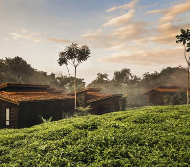 Картинка One 68 Фото One 68