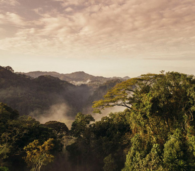 Картинка One 95 Фото One 95