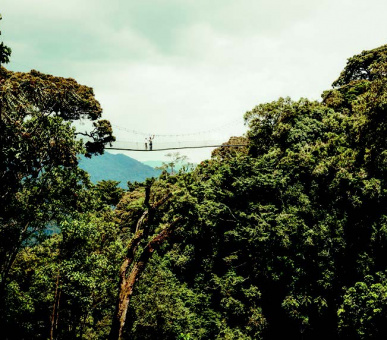 Картинка One 51 Фото One 51