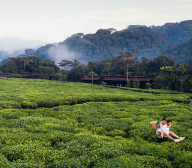 Картинка One 35 Фото One 35