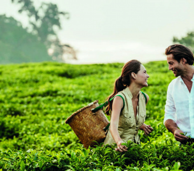 Картинка One 59 Фото One 59