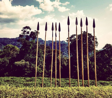 Картинка One 65 Фото One 65