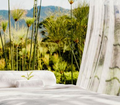 Картинка One 36 Фото One 36