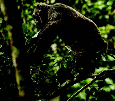 Картинка One 47 Фото One 47