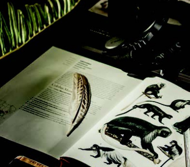 Картинка One 53 Фото One 53