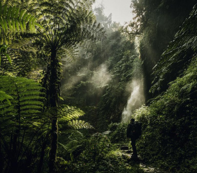 Картинка One 20 Фото One 20