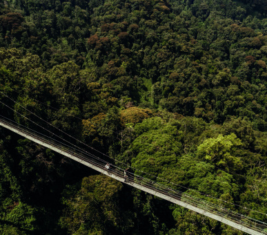 Картинка One 4 Фото One 4