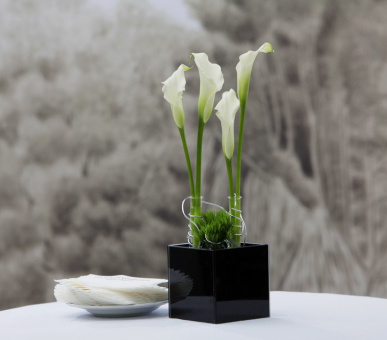 Фото Hotel Bristol, a Luxury Collection Hotel (Австрия, Вена) 25