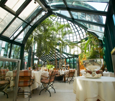 Картинка Palais Coburg (Австрия, Вена) 11 Фото Palais Coburg (Австрия, Вена) 11