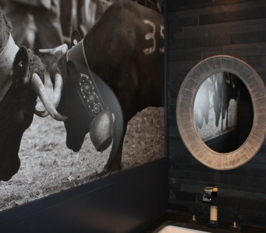 Фото Chalet Spa Piste Rouge (Швейцария, Вербье) 19