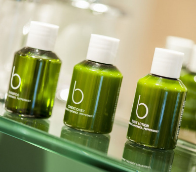 Картинка Le Grand Bellevue (Швейцария, Гштаад) 20 Фото Le Grand Bellevue (Швейцария, Гштаад) 20