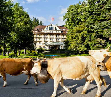 Картинка Le Grand Bellevue (Швейцария, Гштаад) 2 Фото Le Grand Bellevue (Швейцария, Гштаад) 2