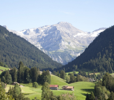 Картинка Grand Hotel Park (Швейцария, Гштаад) 55 Фото Grand Hotel Park (Швейцария, Гштаад) 55