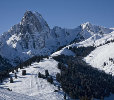 Картинка Grand Hotel Park (Швейцария, Гштаад) 75 Фото Grand Hotel Park (Швейцария, Гштаад) 75