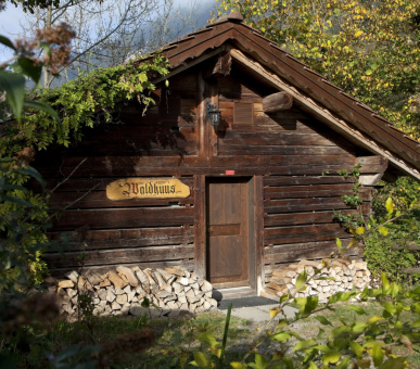 Картинка Grand Hotel Park (Швейцария, Гштаад) 74 Фото Grand Hotel Park (Швейцария, Гштаад) 74