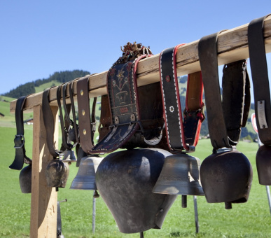 Картинка Grand Hotel Park (Швейцария, Гштаад) 24 Фото Grand Hotel Park (Швейцария, Гштаад) 24