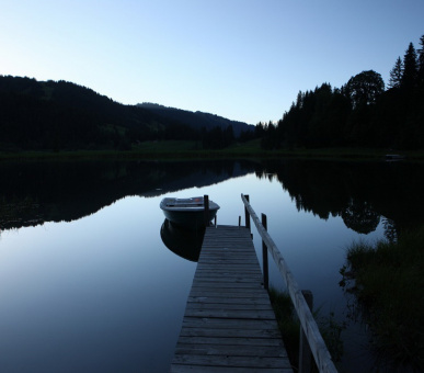 Фото The Alpina Gstaad (Швейцария, Гштаад) 34