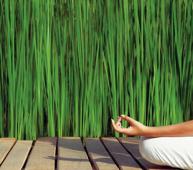 Фото The Alpina Gstaad (Швейцария, Гштаад) 47