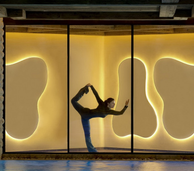 Фото The Alpina Gstaad (Швейцария, Гштаад) 55