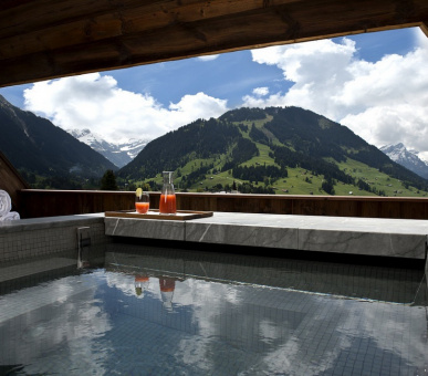 Фото The Alpina Gstaad (Швейцария, Гштаад) 43
