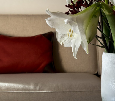 Фото The Alpina Gstaad (Швейцария, Гштаад) 31