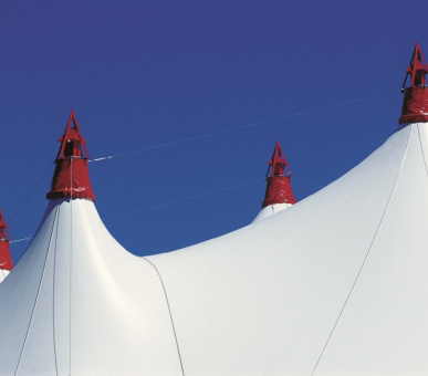 Фото The Alpina Gstaad (Швейцария, Гштаад) 58