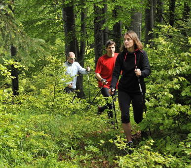 Фото Interalpen-Hotel Tyrol de Luxe (Австрия, Зеефельд) 48