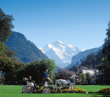 Фото Victoria-Jungfrau Grand Hotel  49