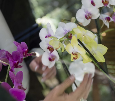 Фото Grand Hotel Cannes (Франция, Канн) 20