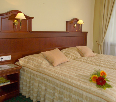 Картинка Империал (Чехия, Карловы Вары) 29 Фото Империал (Чехия, Карловы Вары) 29