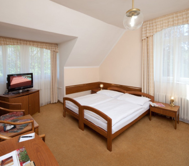 Картинка Империал (Чехия, Карловы Вары) 35 Фото Империал (Чехия, Карловы Вары) 35