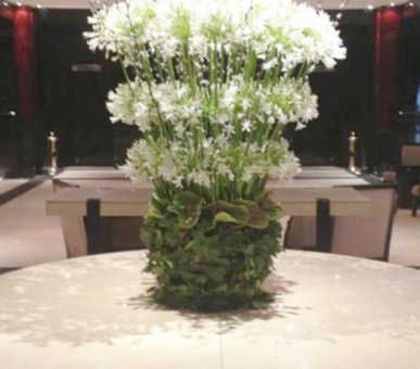 Картинка Hyatt Regency 5* (Марокко, Касабланка) 20 Фото Hyatt Regency 5* (Марокко, Касабланка) 20