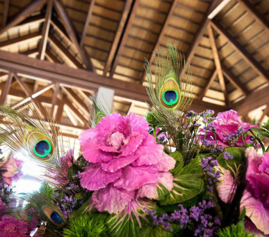 Картинка Asia Gardens Hotel & Thai SPA 30 Фото Asia Gardens Hotel & Thai SPA 30