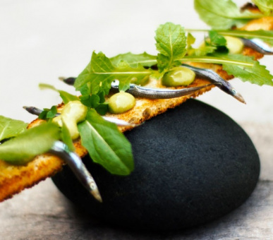 Фото Mas de Torrent (Испания, Коста Брава) 13