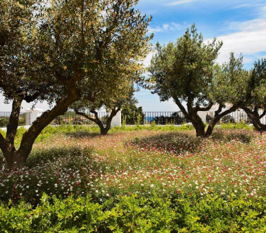 Картинка Finca Cortesin (Испания, Малага и Коста дель Соль) 24 Фото Finca Cortesin (Испания, Малага и Коста дель Соль) 24